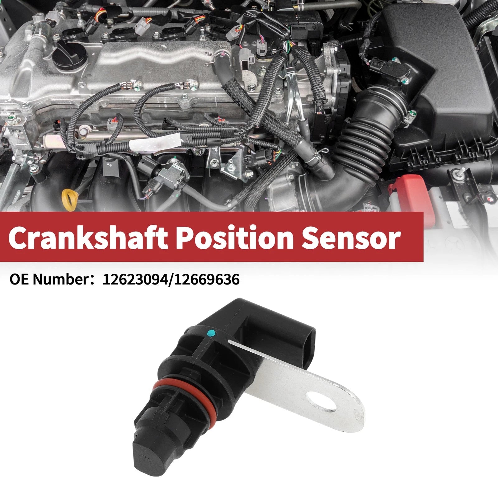 Crankshaft Position Sensor for Chevrolet Corvette C7 6.2 (2014–2023) No. 12623094