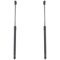 Liftgate Lift Supports Set of 2 for Kia