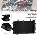 Radiator Cooling Engine Cooler for Aprilia RS457 (2024–2025)