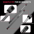 Stabilus Front Hood Lift Supports for Nissan Murano (2015–2022)
