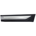 Rear Door Molding for Make Model