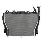 Radiator Cooler for BMW S1000RR HP4 RACE (2009–2018)