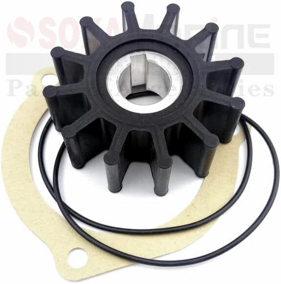 Minor Repair Kit for Sherwood Pump G903, G908, G11 (09000K)
