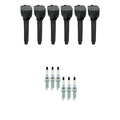 NGK 6 Ignition Coils & Iridium Spark Plugs Kit for 1500 Classic (2007–2019)