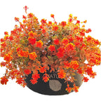 7 Piece Eucalyptus Camellia Daisy Artificial Flowers Home Decor Set