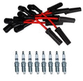 Set of 8 ACDelco Rapidfire Spark Plugs & Ignition Wire Set for Corvette V8