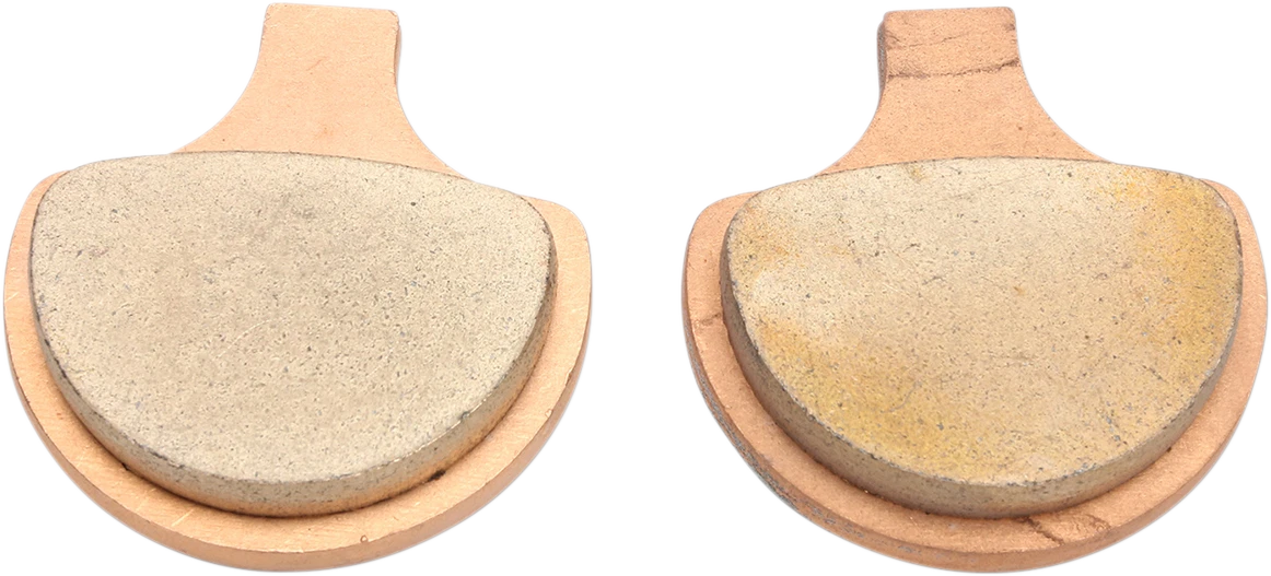 Sintered Brake Pads for Harley-Davidson (HDP900)