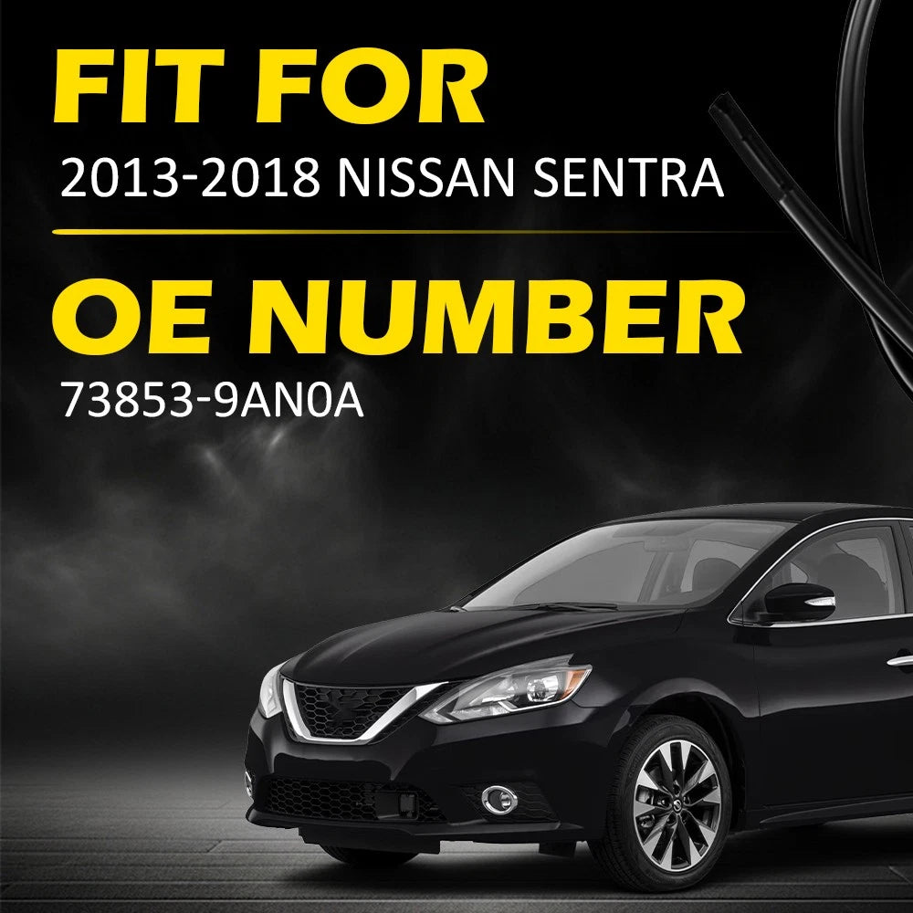 Set of 2 Roof Drip Mouldings Trim for Nissan Sentra (2013–2018)