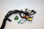 Main Electrical Wire Wiring Harness for Kawasaki 300LX 310X 300X (2011–2013)