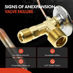 A/C Expansion Valve for Nissan Sentra (1982–1990)