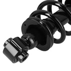 Pair Complete Rear Strut w/ Coil Spring for Scion tC (2005–2010)