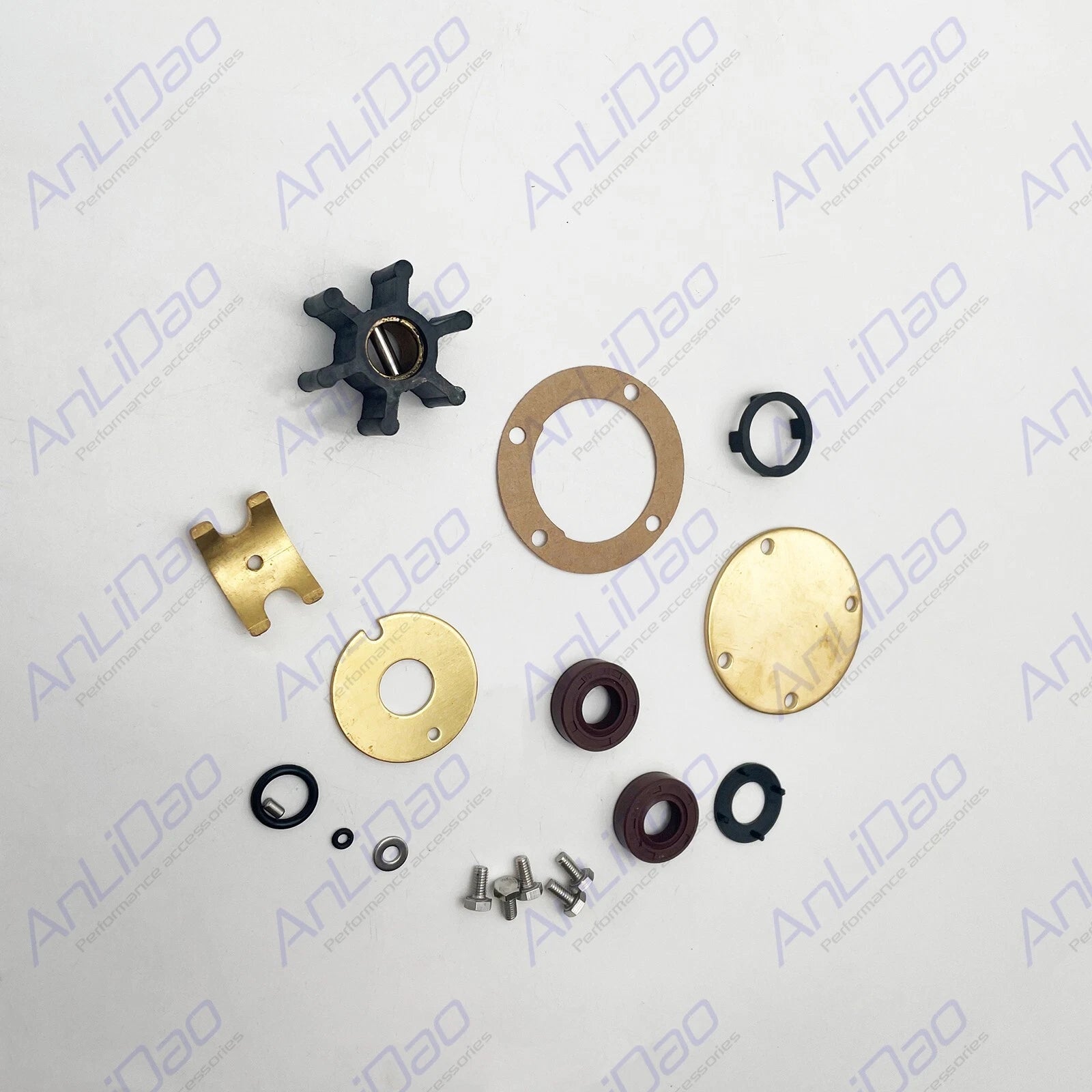 Internal Major Repair Kit for Volvo Penta Sea Water Pumps (21951368, 858065, 840557)