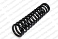 Front Coil Spring for Mercedes-Benz (2010–2016) 4056811