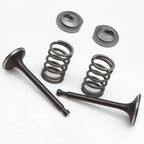 Spring Retainer Kit for Lawnmowers and Water Pumps