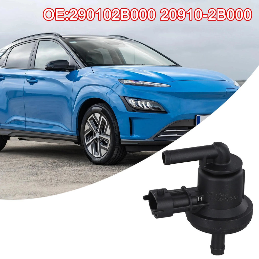 Vapour Canister Purging Assembly Solenoid for Kia Soul (2010–2023)
