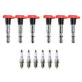 Set of 6 Ignition Coils & Denso Platinum Spark Plugs for Audi A4 A6 Quattro (2000–2006)