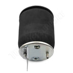 2X Air Suspension Spring Bags for Navistar
