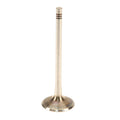 Intake Valve for TRW (331116)
