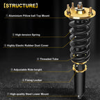 Coilover Shocks Struts for Honda Accord, Acura TSX (2003–2008)