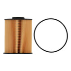 Fuel Filter for Blue Bird Dodge Ford (1997–2016) 68001914AA FS19856 4935205
