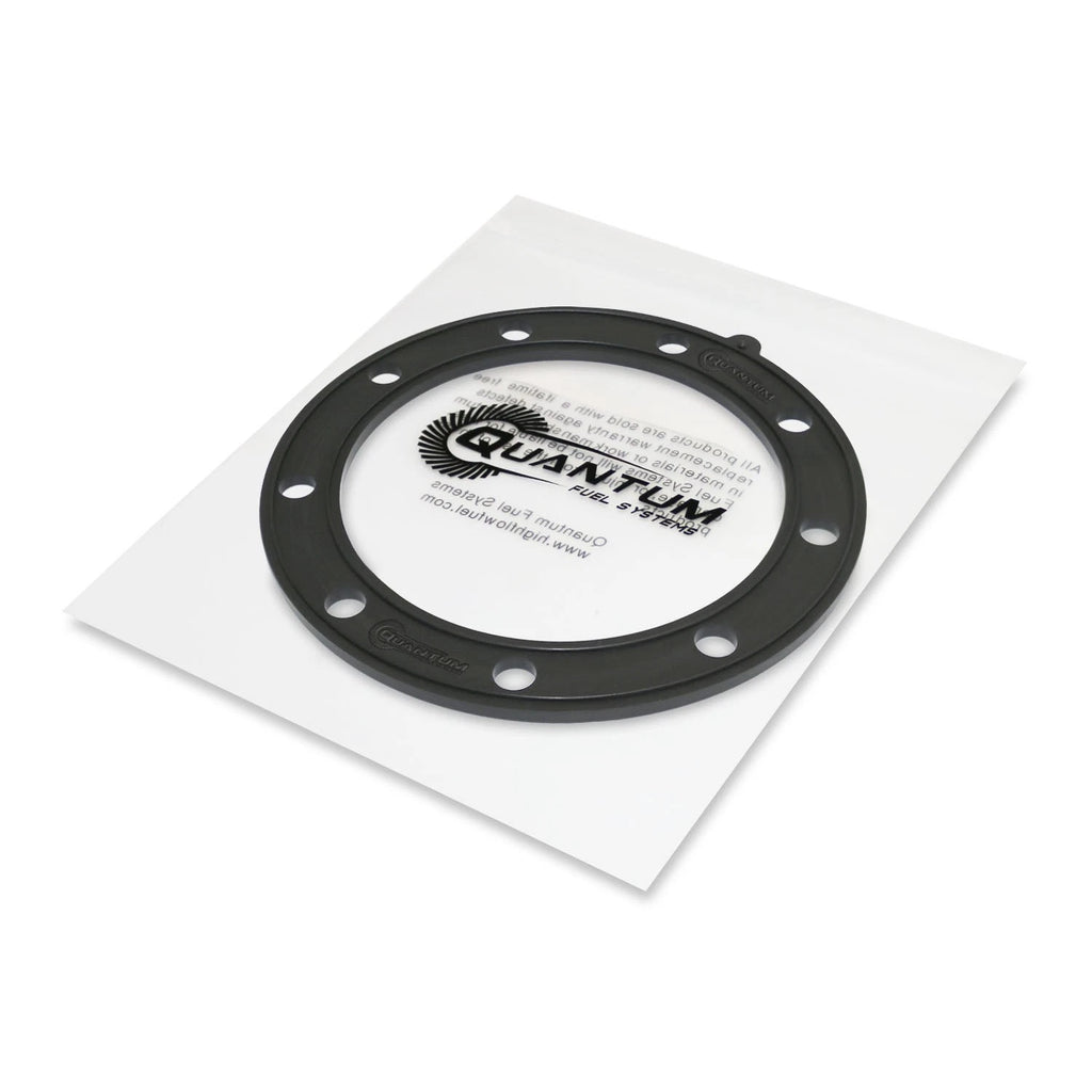 QFS EFI Fuel Pump + Regulator + Tank Seal + Strainer for Sea-Doo GTI (2006–2007)