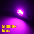 Purple LED Rock Lights for Jeep (2010–2023)
