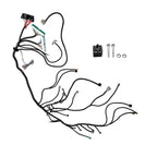 Stand Alone Harness for LS3 Vortec 4.8, 5.3, 6.0L T56/4L80E (2003–2007)