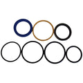Hydraulic Cylinder Seal Kit AW21653 for John Deere 100 Loader