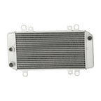 Radiator Cooling Cooler for Kawasaki Ninja 250R EX250 (2008–2012)