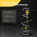 2X Rear Coil Springs for Ford Expedition (2003-2006)
