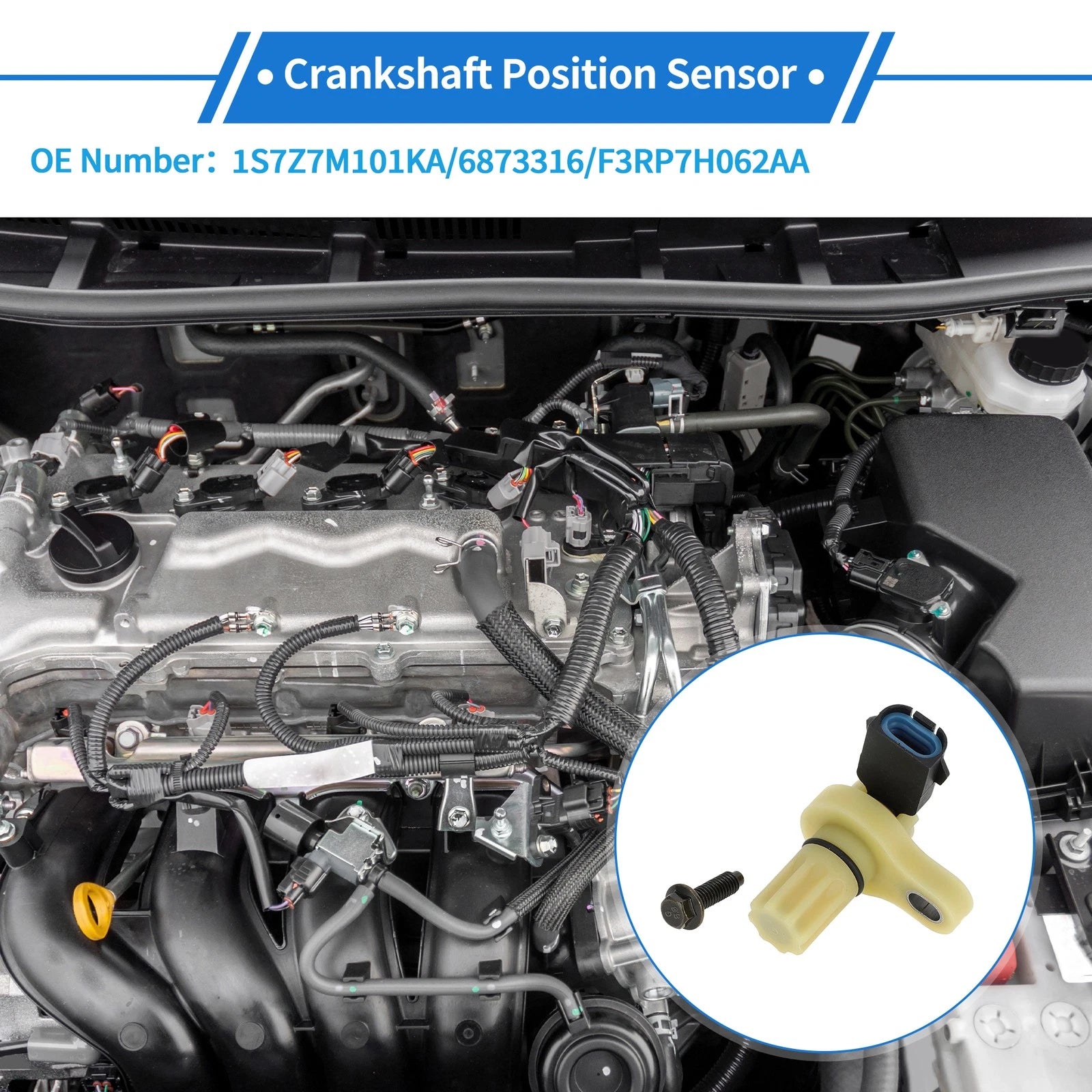 Crankshaft Position Sensor for Ford Escape 2006-2007 (1S7Z7M101KA) Black