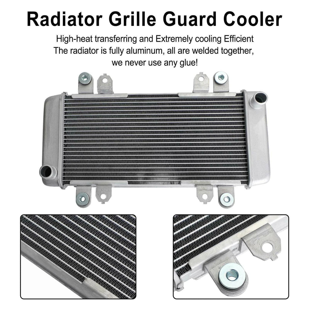 Radiator Guard for Kawasaki Ninja 300 EX300 (2013–2017) T9