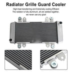 Radiator Guard for Kawasaki Ninja 300 EX300 (2013–2017) T9