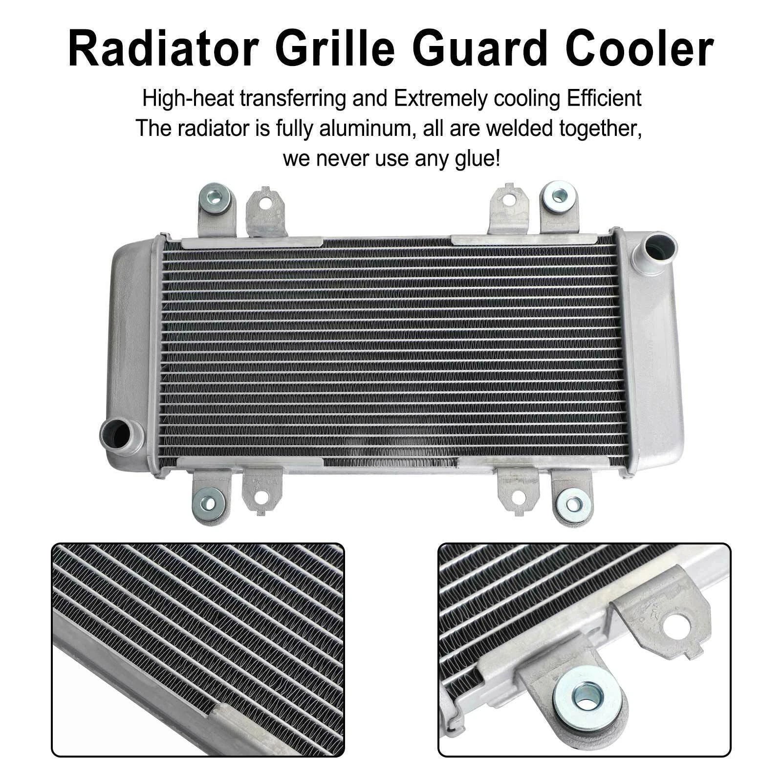 Radiator Guard for Kawasaki Ninja 300 EX300 (2013–2017) T9