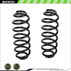 2pc Rear Coil Springs for Volkswagen Tiguan (2017–2018), Passat (2006–2019)
