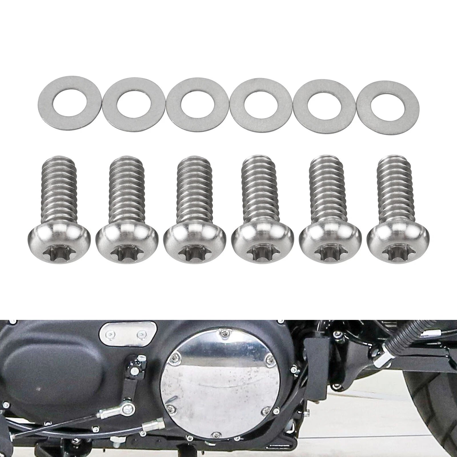 Titanium Derby Cover Screws Kit for Harley Sportster 883 (2004–2023)