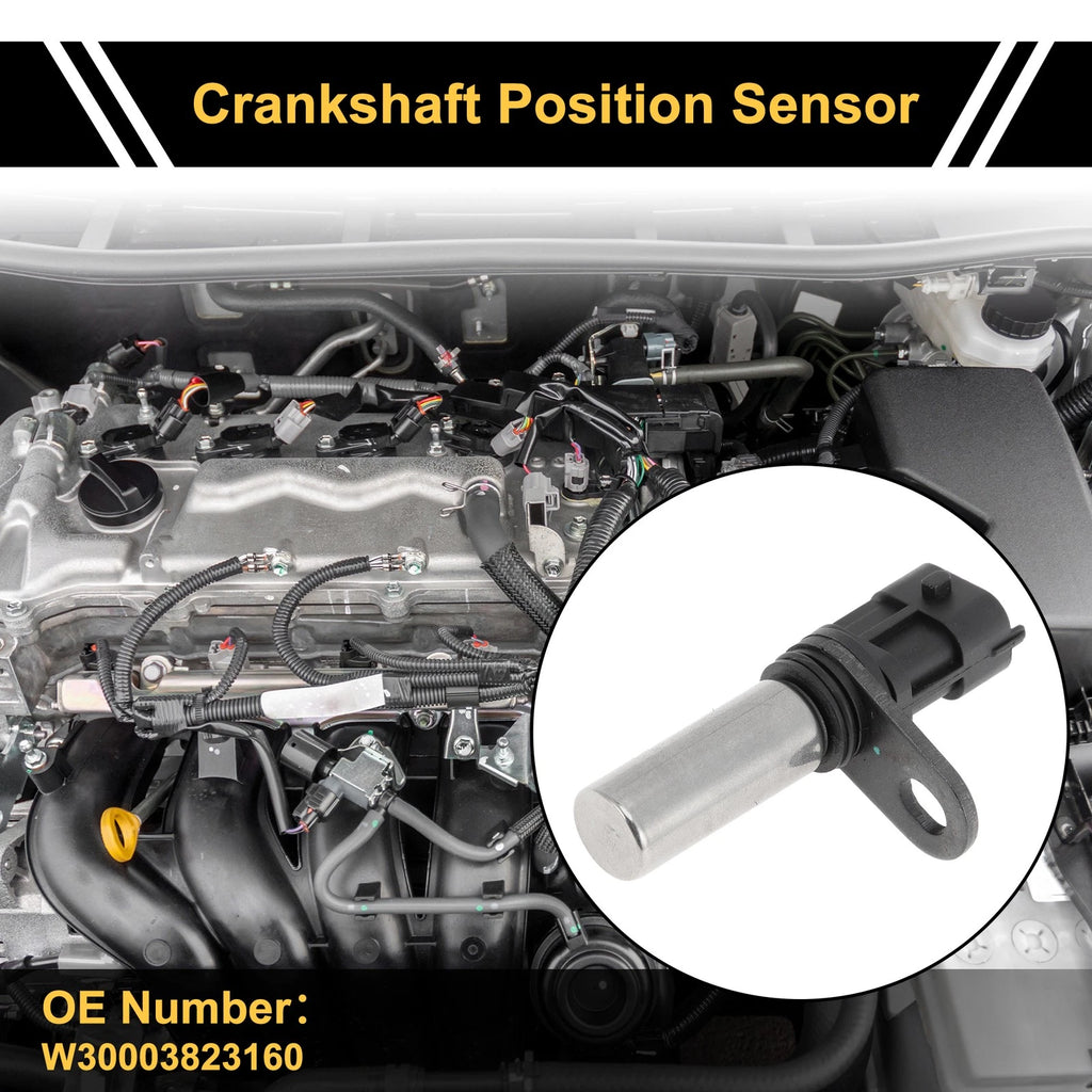 Crankshaft Position Sensor for Ford Chevrolet (W30003823160)
