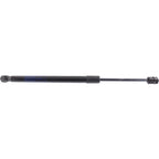 Lift Support Set for Jaguar XJ8, Vanden Plas (2004–2009)