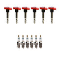 Set of 6 Ignition Coils & 6 Iridium Spark Plugs for Porsche VW V6