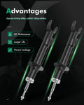 Front Shocks and Struts for Chrysler 300 Dodge Charger Challenger (2011–2022)