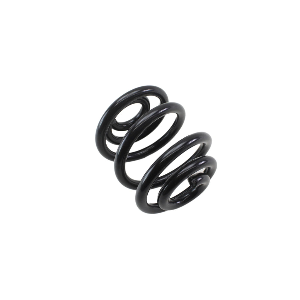 Lesjofors Rear Coil Spring for Audi (4204249)
