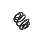 Lesjofors Rear Coil Spring for Audi (4204249)