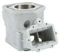SP1 Cylinder S D 600 for Ski-Doo Expedition TUV & GSX LE 600 HO SDI (2006–2011)