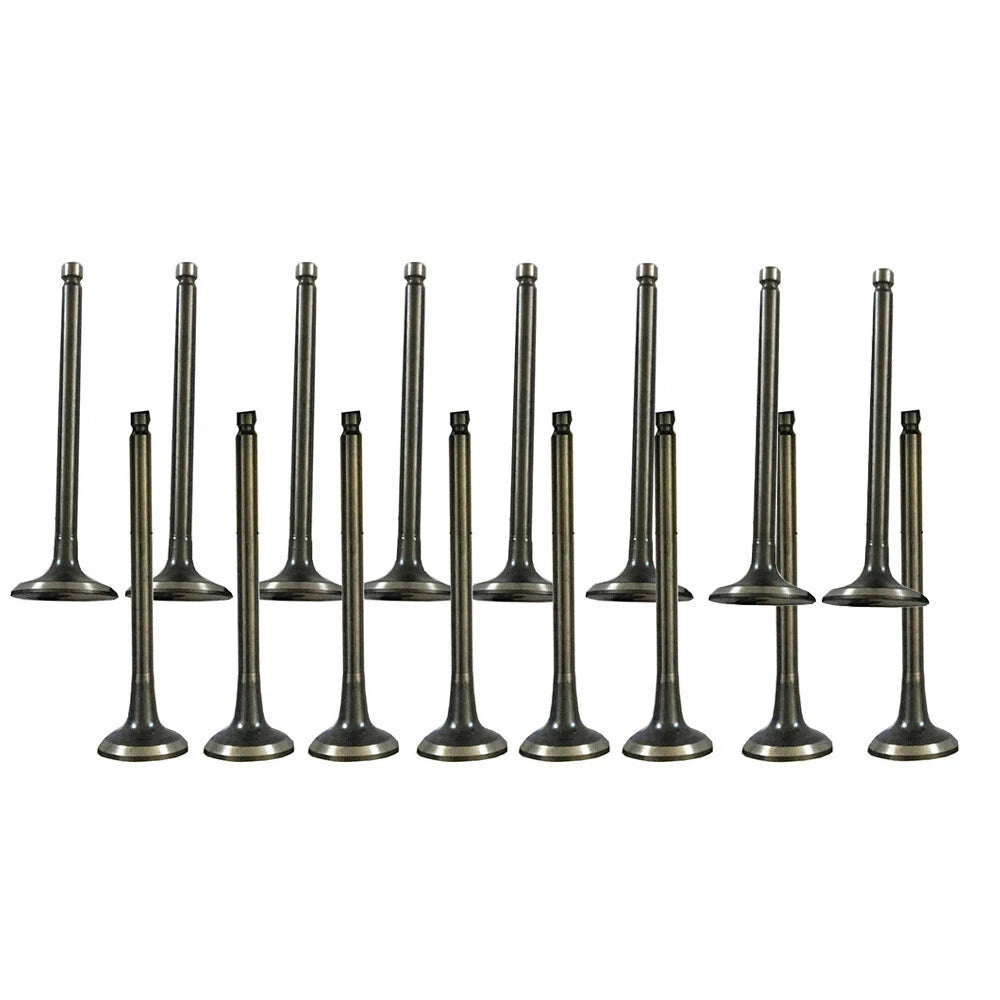 Exhaust and Intake Valves for Hyundai Accent, Kia Rio (2001–2011)