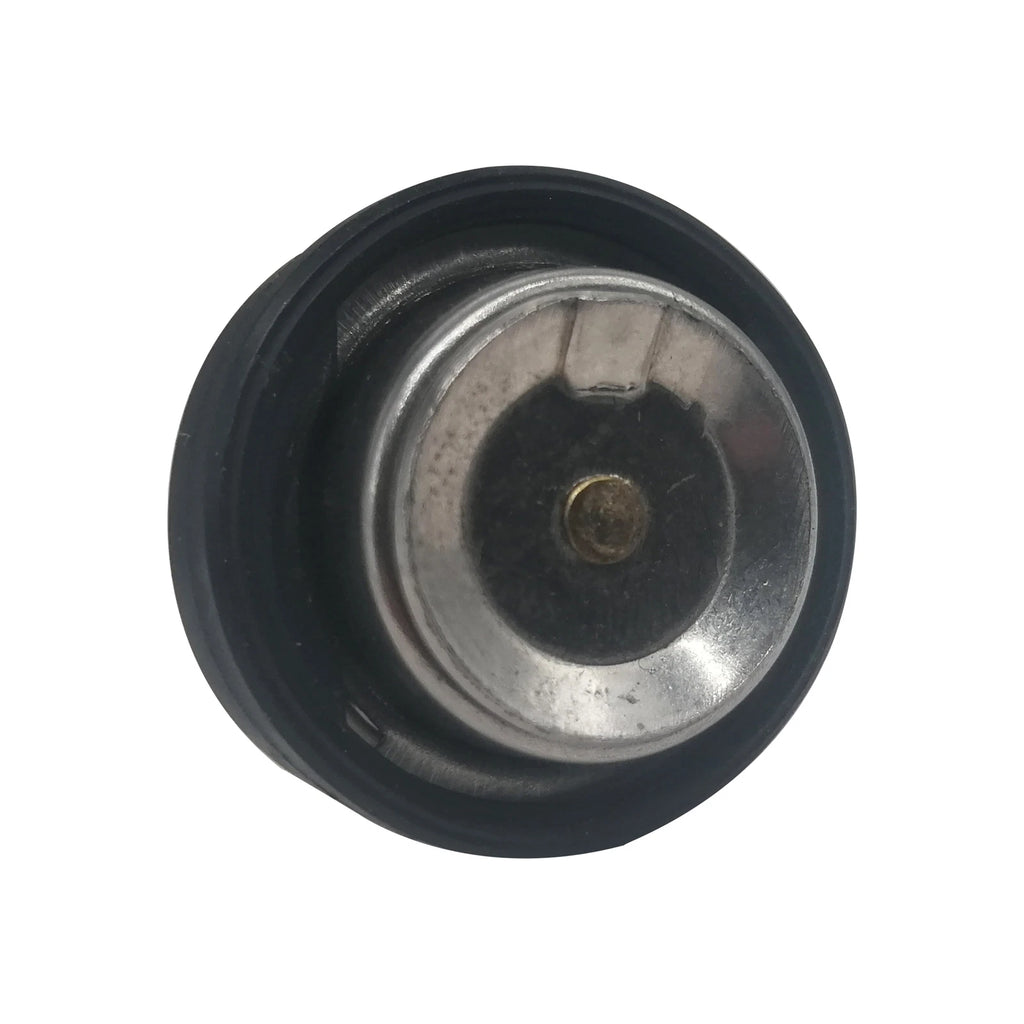 Thermostat for Suzuki DE40 DF50 DF60 DF70 DT20 DT25 DT30 DT40 DT55 DT9.9 (All Years) 17670-93962