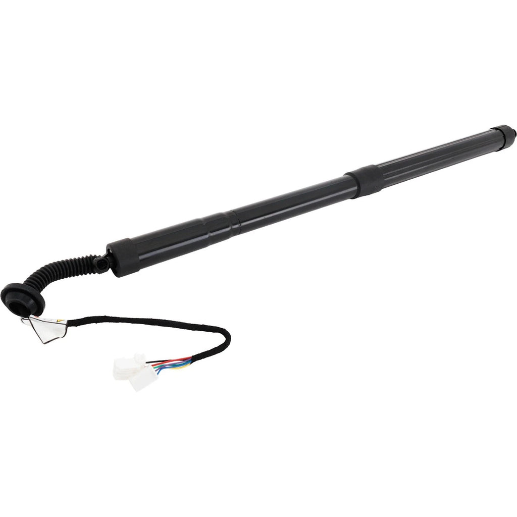 Liftgate Lift Supports for Honda Pilot (2019–2022)