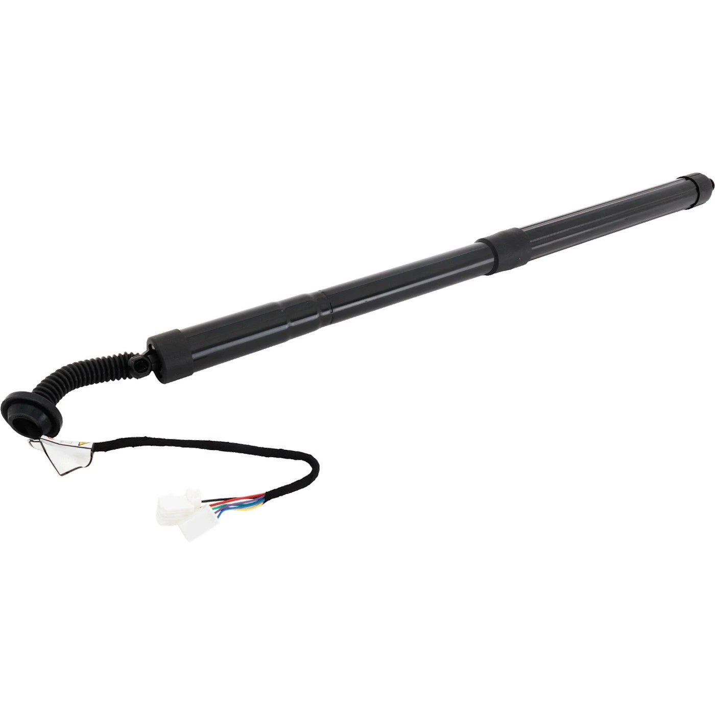 Liftgate Lift Supports for Honda Pilot (2019–2022)