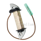 Charge Coil for Yamaha Outboard 3HP 4HP 5HP (2000–2015) 6E0-85520-70 5C MHS/L