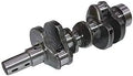 Complete Crankshaft 119813-21000 for Yanmar 3TNV82A