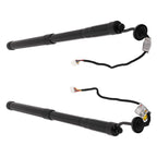 2X Rear Tailgate Gas Struts for Lexus NX300 NX300h (2018–2021)